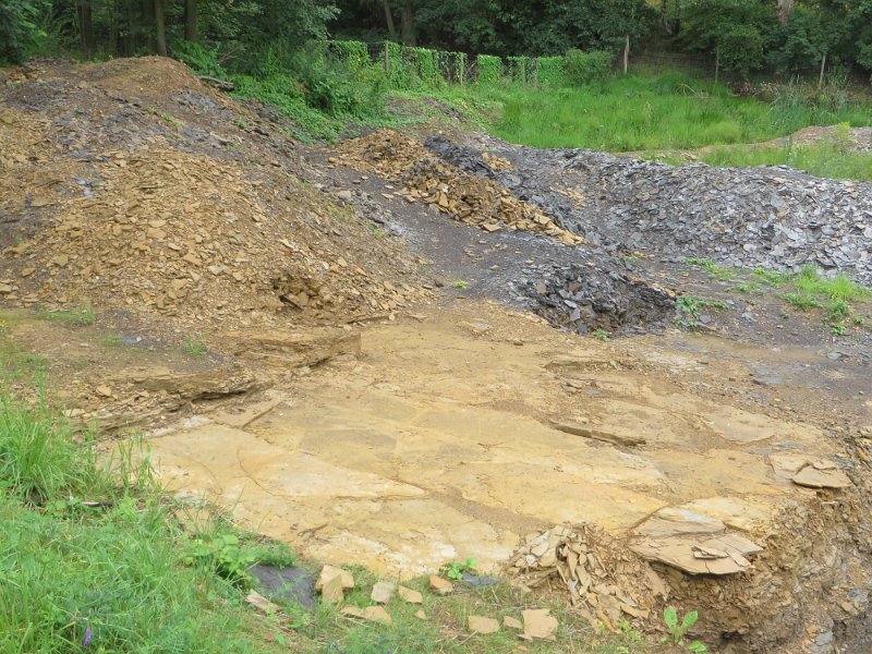 Die Oelschiefergrube Schandelah